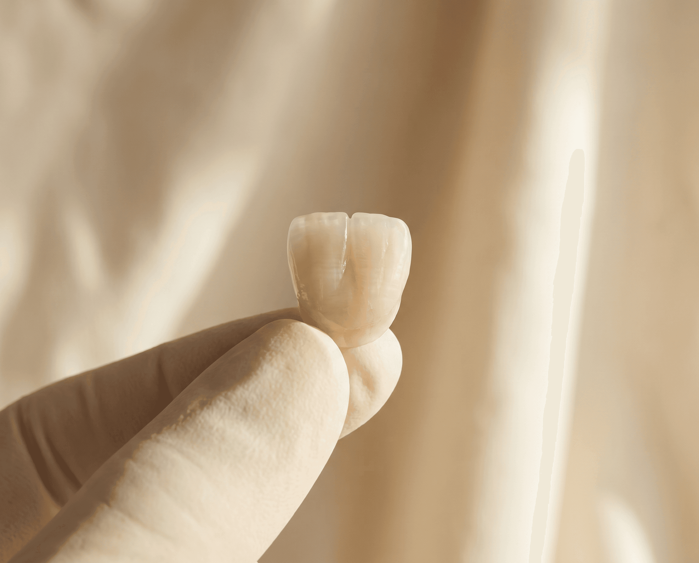 Dental crown shade-matching models on display